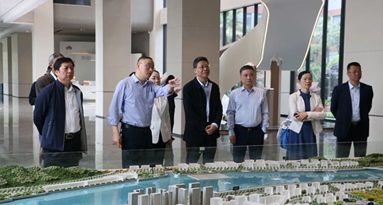 省人大常委会委员陈根芳调研88858cc永利集团