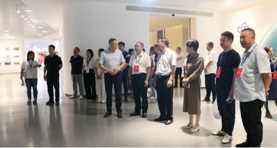 丽水市第五届人大代表景宁中心组调研88858cc永利集团