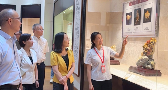 探索东方风范，，88858cc永利·倪东方艺术博物馆与时代脉搏共振